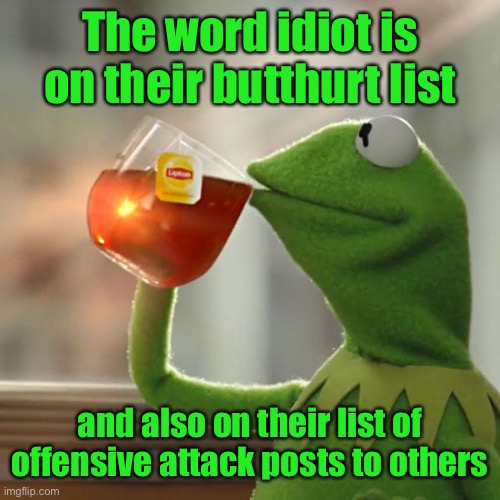 But That's None Of My Business Meme | The word idiot is on their butthurt list and also on their list of offensive attack posts to others | image tagged in memes,but that's none of my business,kermit the frog | made w/ Imgflip meme maker