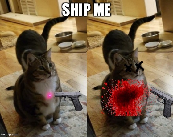 funni | SHIP ME | image tagged in funni | made w/ Imgflip meme maker