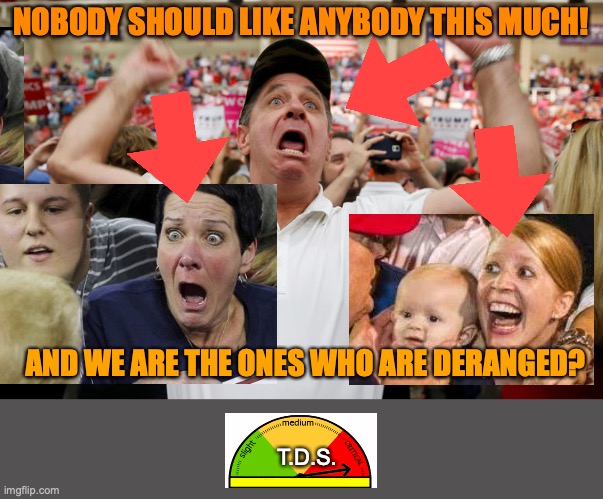 Trump Supporter Triggered | NOBODY SHOULD LIKE ANYBODY THIS MUCH! AND WE ARE THE ONES WHO ARE DERANGED? T.D.S. | image tagged in trump supporter triggered | made w/ Imgflip meme maker