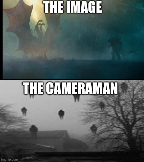 The cameraman is brave | THE IMAGE; THE CAMERAMAN | image tagged in blank black horizontal | made w/ Imgflip meme maker