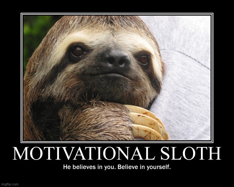 Motivational sloth | image tagged in motivational sloth | made w/ Imgflip meme maker