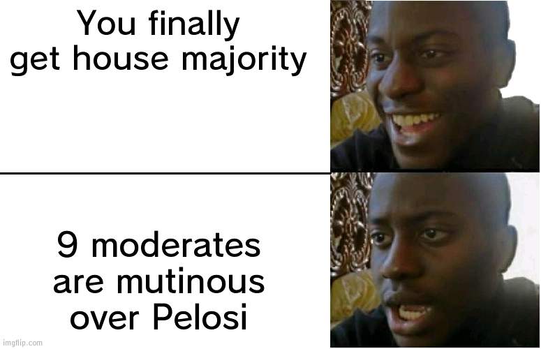 This might split the party and undo there work | You finally get house majority; 9 moderates are mutinous over Pelosi | image tagged in disappointed black guy | made w/ Imgflip meme maker