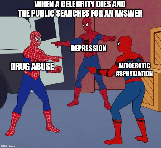 I heard it was all 3 | WHEN A CELEBRITY DIES AND THE PUBLIC SEARCHES FOR AN ANSWER; DEPRESSION; AUTOEROTIC ASPHYXIATION; DRUG ABUSE | image tagged in spider man triple | made w/ Imgflip meme maker