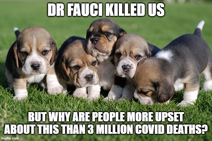 Dog Day Afternoon | DR FAUCI KILLED US; BUT WHY ARE PEOPLE MORE UPSET ABOUT THIS THAN 3 MILLION COVID DEATHS? | image tagged in covid,fauci,dogkiller,tomoliver21 | made w/ Imgflip meme maker