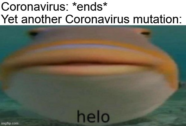 helo | Coronavirus: *ends*
Yet another Coronavirus mutation: | image tagged in helo | made w/ Imgflip meme maker