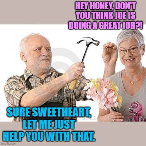 Harold and his wife | HEY HONEY, DON'T YOU THINK JOE IS DOING A GREAT JOB?! SURE SWEETHEART, LET ME JUST HELP YOU WITH THAT. | image tagged in harold and his wife | made w/ Imgflip meme maker