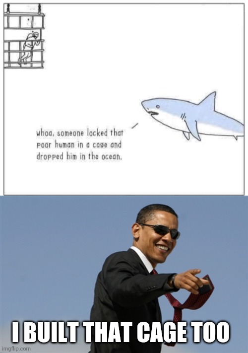Wholesome Shark near cage.... | I BUILT THAT CAGE TOO | image tagged in memes,cool obama | made w/ Imgflip meme maker