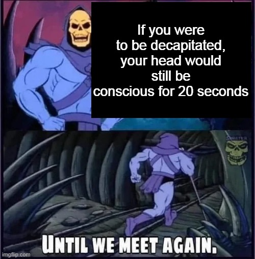 Until we meet again | If you were to be decapitated, your head would still be conscious for 20 seconds | image tagged in until we meet again | made w/ Imgflip meme maker