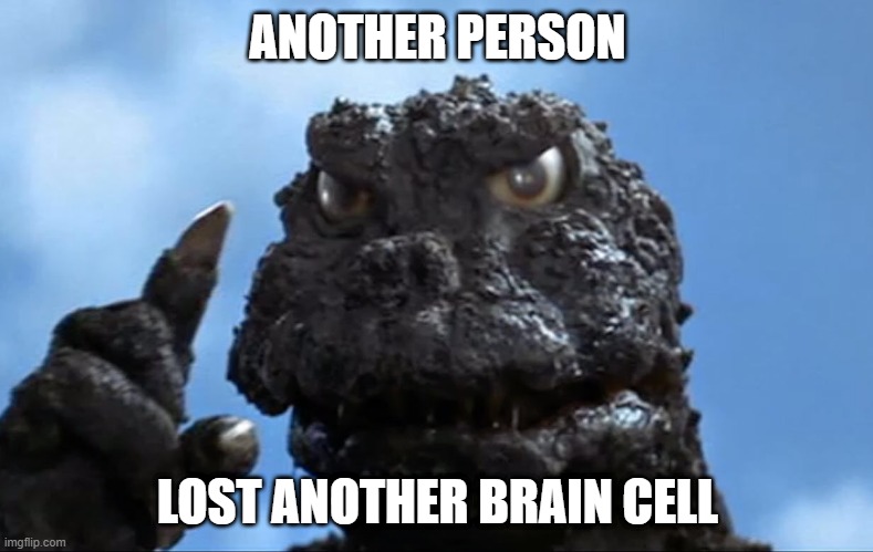 old man godzilla knows that the person lost a brain cell | ANOTHER PERSON; LOST ANOTHER BRAIN CELL | image tagged in old man godzilla | made w/ Imgflip meme maker