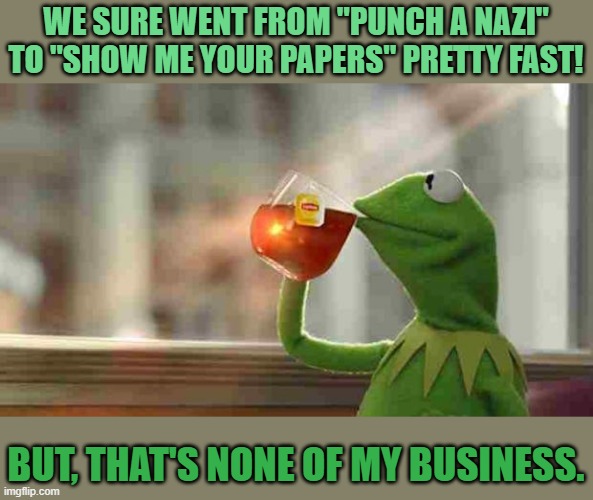 Kermit sipping tea | WE SURE WENT FROM "PUNCH A NAZI" TO "SHOW ME YOUR PAPERS" PRETTY FAST! BUT, THAT'S NONE OF MY BUSINESS. | image tagged in kermit sipping tea | made w/ Imgflip meme maker