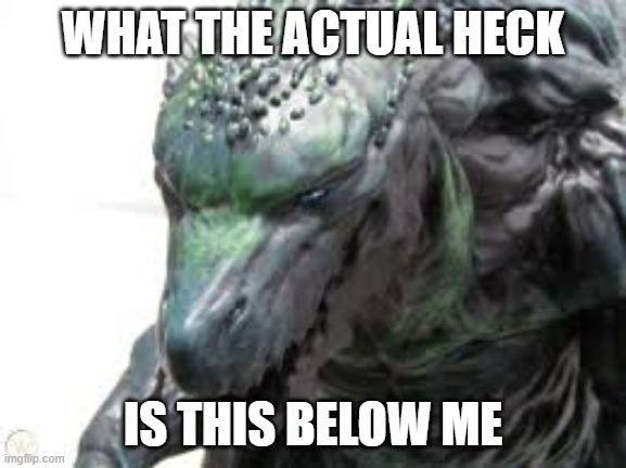 what is this | WHAT THE ACTUAL HECK; IS THIS BELOW ME | image tagged in what is this | made w/ Imgflip meme maker