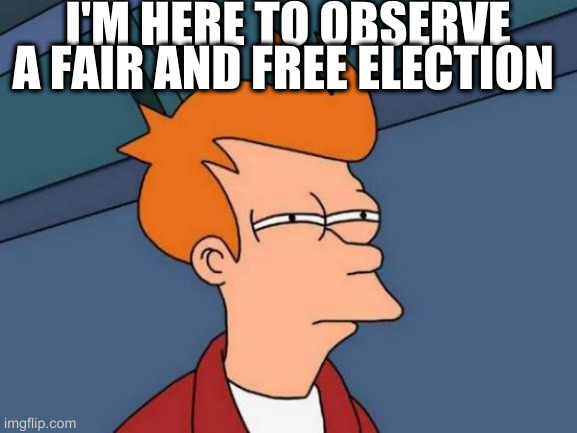 Futurama Fry | I'M HERE TO OBSERVE A FAIR AND FREE ELECTION | image tagged in memes,futurama fry | made w/ Imgflip meme maker