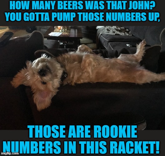 HOW MANY BEERS WAS THAT JOHN?  YOU GOTTA PUMP THOSE NUMBERS UP, THOSE ARE ROOKIE NUMBERS IN THIS RACKET! | image tagged in doge | made w/ Imgflip meme maker