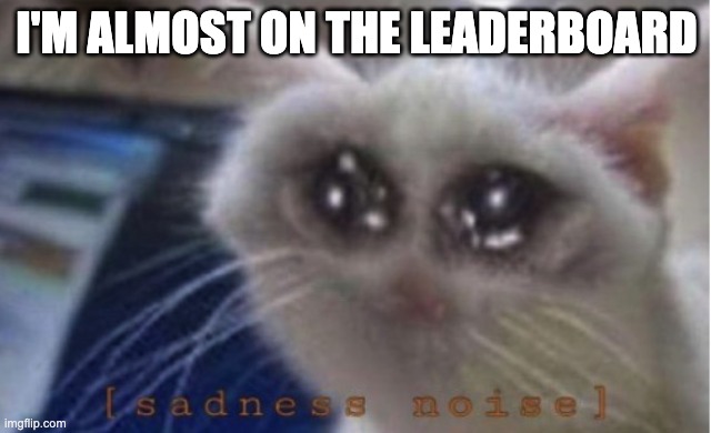Mega sad cat | I'M ALMOST ON THE LEADERBOARD | image tagged in mega sad cat | made w/ Imgflip meme maker