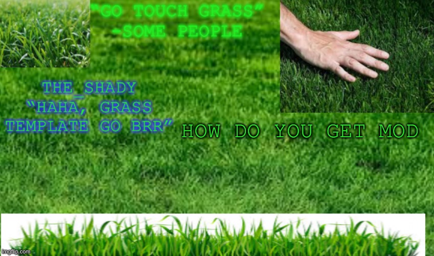 How | HOW DO YOU GET MOD | image tagged in the_shady grass temp | made w/ Imgflip meme maker