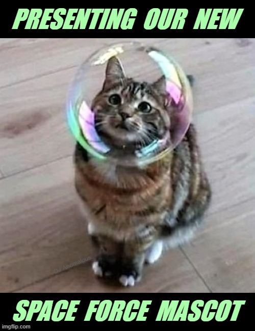 The perfect feline for the job | PRESENTING OUR NEW; SPACE FORCE MASCOT; DJ ANOMALOUS | image tagged in cats,funny cats,space force,mascot,military humor | made w/ Imgflip meme maker