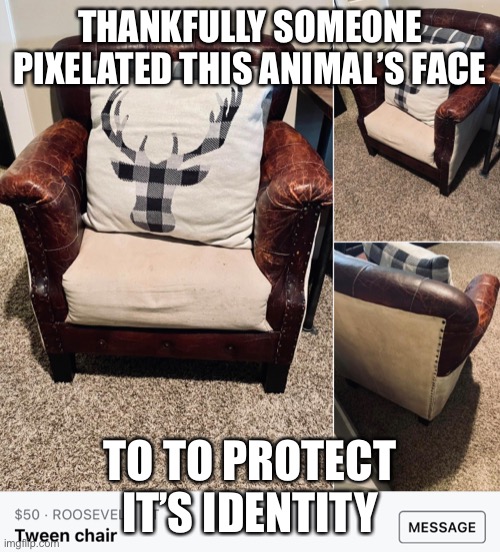 witness protection reindeer | THANKFULLY SOMEONE PIXELATED THIS ANIMAL’S FACE; TO TO PROTECT IT’S IDENTITY | image tagged in funny,animal,pillow,hunting,design | made w/ Imgflip meme maker