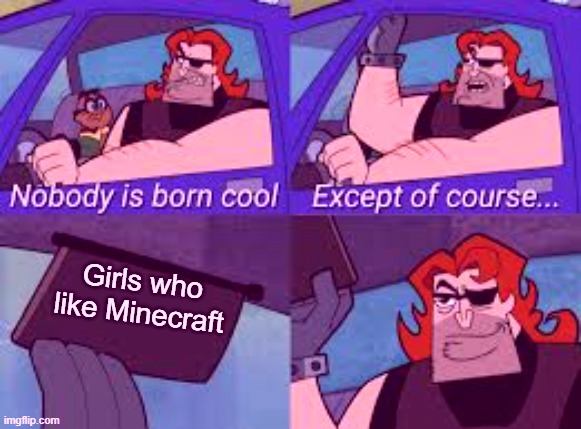 My Best friend who is a girl loves minecraft. And my friend who is an animator love minecraft | Girls who like Minecraft | image tagged in nobody is born cool except of course | made w/ Imgflip meme maker
