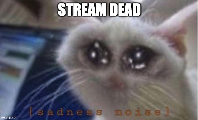 Mega sad cat | STREAM DEAD | image tagged in mega sad cat | made w/ Imgflip meme maker