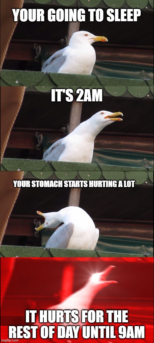 my stomach every single day | YOUR GOING TO SLEEP; IT'S 2AM; YOUR STOMACH STARTS HURTING A LOT; IT HURTS FOR THE REST OF DAY UNTIL 9AM | image tagged in memes,inhaling seagull | made w/ Imgflip meme maker
