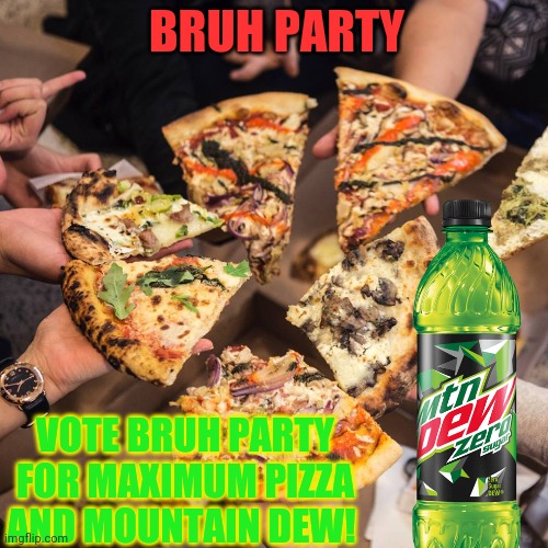 2nd best party! | BRUH PARTY; VOTE BRUH PARTY FOR MAXIMUM PIZZA AND MOUNTAIN DEW! | image tagged in vote bruh,party,or,vote pepe party | made w/ Imgflip meme maker