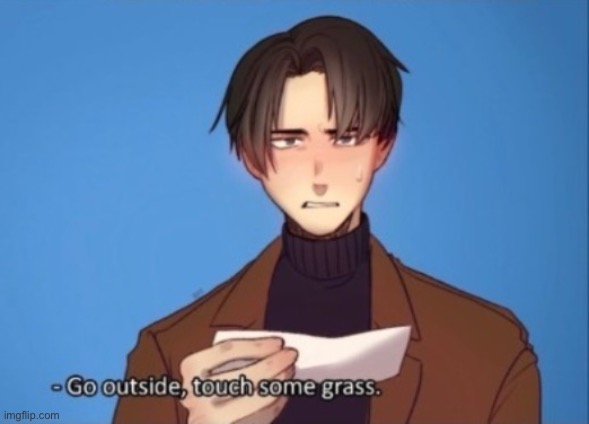 Levi wants you to touch grass | image tagged in levi wants you to touch grass | made w/ Imgflip meme maker