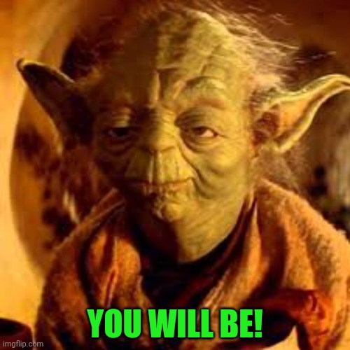 Yoda You Will Be | YOU WILL BE! | image tagged in yoda you will be | made w/ Imgflip meme maker