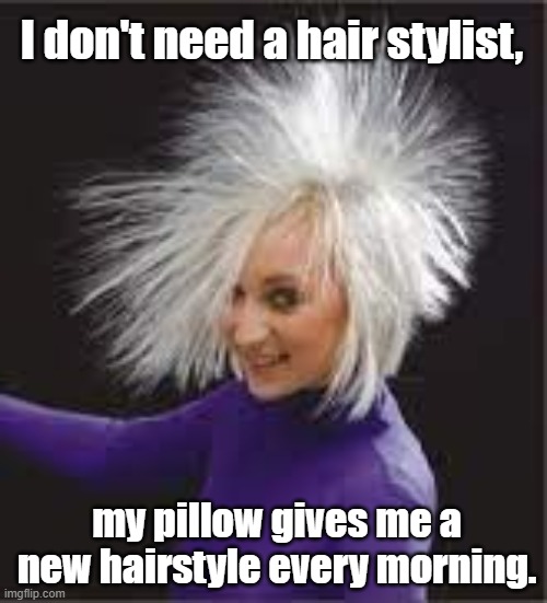 hair stylist |  I don't need a hair stylist, my pillow gives me a new hairstyle every morning. | image tagged in funny,quotes | made w/ Imgflip meme maker