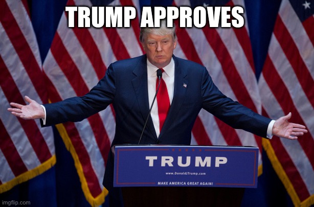 Donald Trump | TRUMP APPROVES | image tagged in donald trump | made w/ Imgflip meme maker