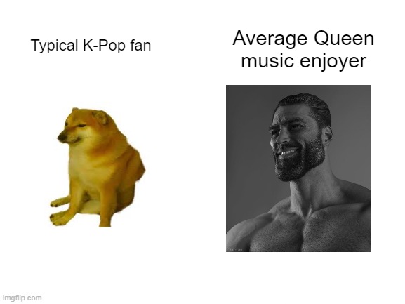 Average Music enjoyer. | Average Queen music enjoyer; Typical K-Pop fan | image tagged in blank white template | made w/ Imgflip meme maker