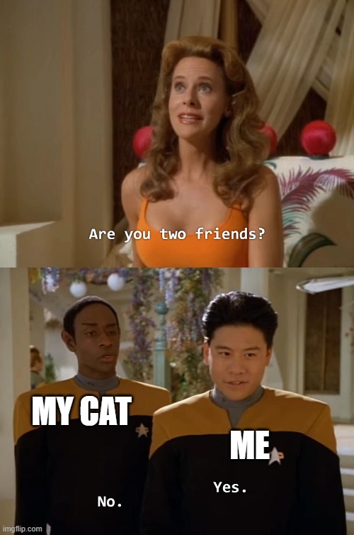 Are you two friends? | MY CAT; ME | image tagged in are you two friends | made w/ Imgflip meme maker