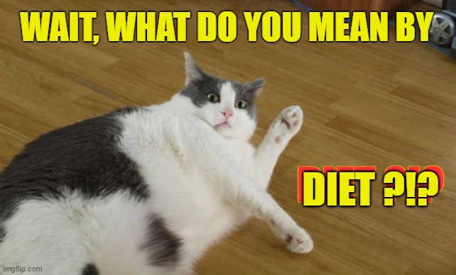 Big news for big cat | WAIT, WHAT DO YOU MEAN BY; DJ Anomalous; DIET ?!? DIET ?!? | image tagged in cats,fat cat,shocked cat,diet,funny animal,funny cat | made w/ Imgflip meme maker