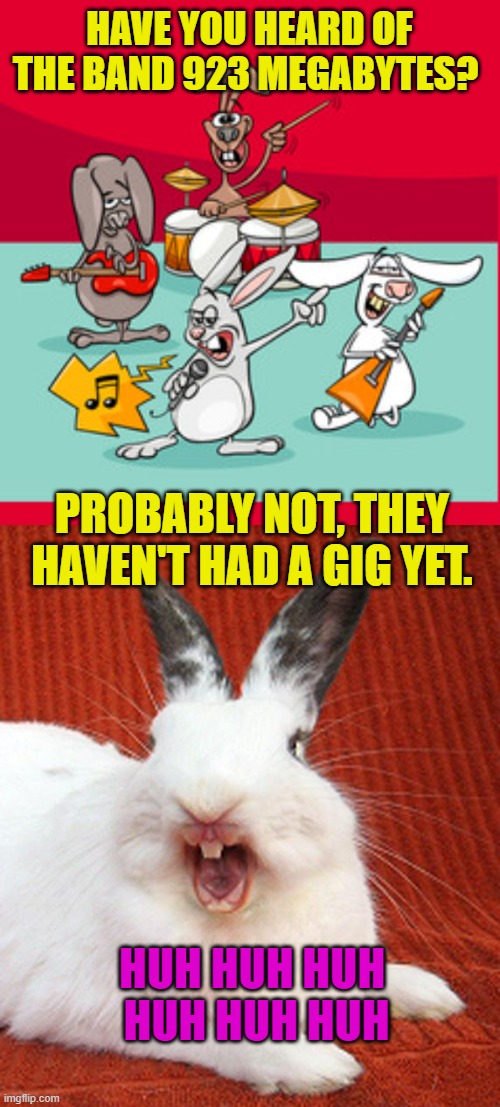 Corny Rabbit Joke | HAVE YOU HEARD OF THE BAND 923 MEGABYTES? PROBABLY NOT, THEY
 HAVEN'T HAD A GIG YET. HUH HUH HUH 
HUH HUH HUH | image tagged in rabbit rock,laughing rabbit | made w/ Imgflip meme maker