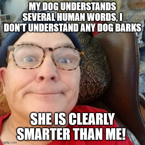 Durl Earl | MY DOG UNDERSTANDS SEVERAL HUMAN WORDS, I DON'T UNDERSTAND ANY DOG BARKS; SHE IS CLEARLY SMARTER THAN ME! | image tagged in durl earl | made w/ Imgflip meme maker