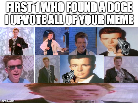 comment down below | FIRST 1 WHO FOUND A DOGE
I UPVOTE ALL OF YOUR MEME | image tagged in blank white template,doge,rickroll | made w/ Imgflip meme maker