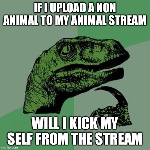Ha no | IF I UPLOAD A NON ANIMAL TO MY ANIMAL STREAM; WILL I KICK MY SELF FROM THE STREAM | image tagged in memes,philosoraptor | made w/ Imgflip meme maker