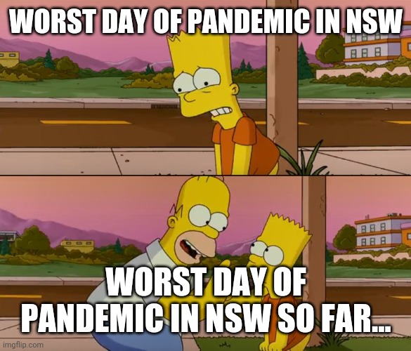 Simpsons so far | WORST DAY OF PANDEMIC IN NSW; WORST DAY OF PANDEMIC IN NSW SO FAR... | image tagged in simpsons so far | made w/ Imgflip meme maker
