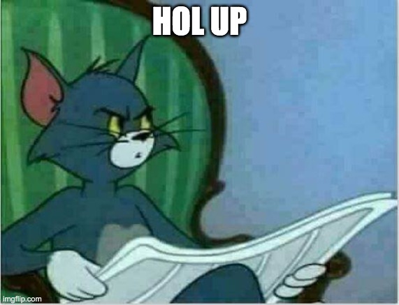 Tom Newspaper Original | HOL UP | image tagged in tom newspaper original | made w/ Imgflip meme maker