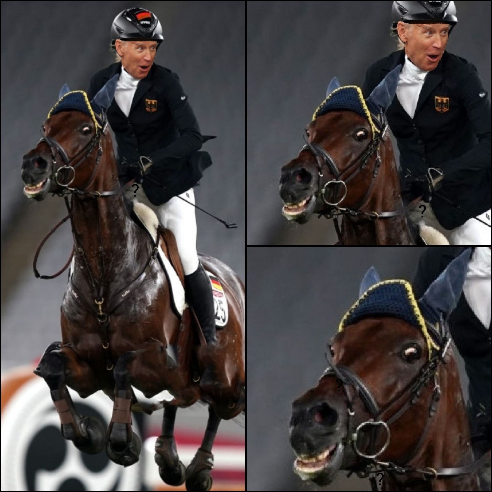 High Quality Scary Horse Blank Meme Template