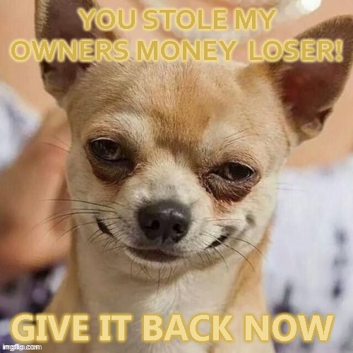 pay back the money you owe punk | YOU STOLE MY OWNERS MONEY  LOSER! GIVE IT BACK NOW | image tagged in dirty harry,ted bundy,evil,men,nasty,pig | made w/ Imgflip meme maker