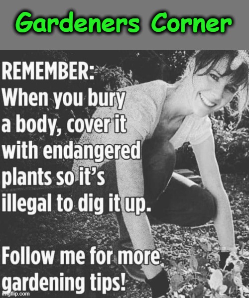 Gardeners Corner | Gardeners Corner | image tagged in blank gravestone | made w/ Imgflip meme maker