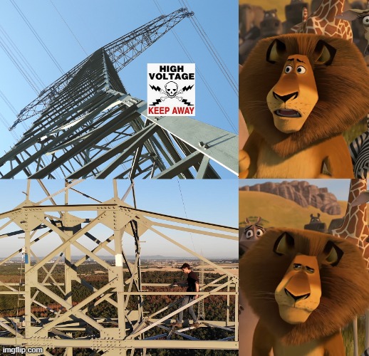 Madagascar Alex | image tagged in madagascar alex | made w/ Imgflip meme maker