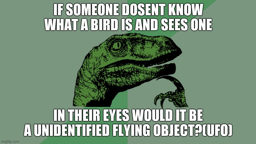Hmmm | IF SOMEONE DOSENT KNOW WHAT A BIRD IS AND SEES ONE; IN THEIR EYES WOULD IT BE A UNIDENTIFIED FLYING OBJECT?(UFO) | image tagged in philosophy dinosaur,shower thoughts,ufo,bird | made w/ Imgflip meme maker