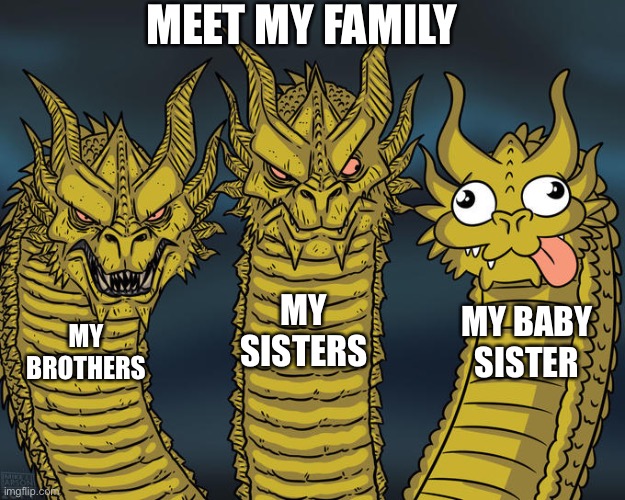My family is weird and haveing 2 brothers and 4 sisters yes I do have a big  family - Imgflip