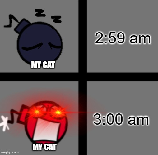 Cats IRL | 2:59 am; MY CAT; 3:00 am; MY CAT | image tagged in mad whitty,cats,fnf | made w/ Imgflip meme maker