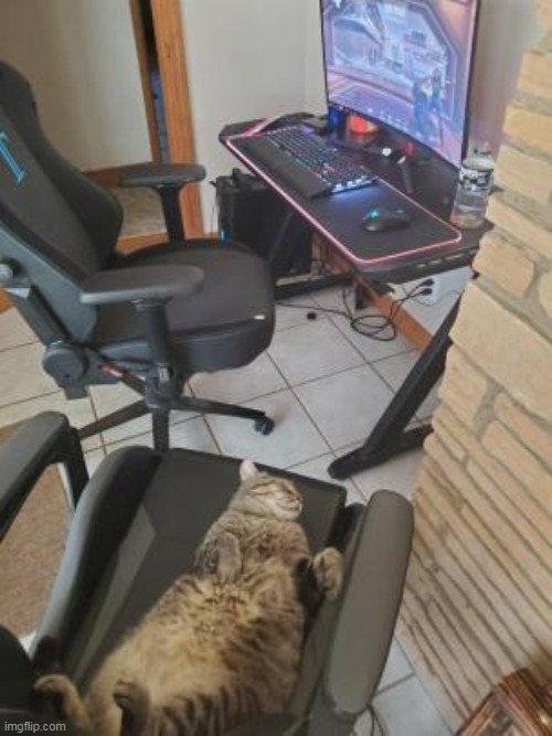 He's a gamer | made w/ Imgflip meme maker