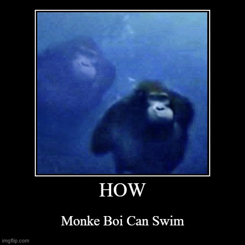 MONKE BOI | image tagged in funny,demotivationals | made w/ Imgflip demotivational maker
