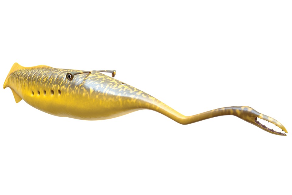 tullymonster Blank Meme Template