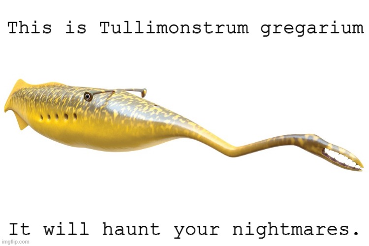 tullymonster | This is Tullimonstrum gregarium; It will haunt your nightmares. | image tagged in tullymonster | made w/ Imgflip meme maker