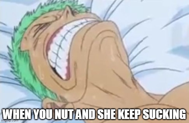 Zoro in Pain | WHEN YOU NUT AND SHE KEEP SUCKING | image tagged in zoro in pain,zoro,one piece | made w/ Imgflip meme maker